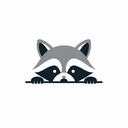 Activity Racoon